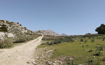 Amazing spring and GR221 on Mallorca
