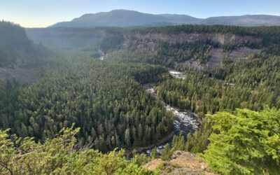 Přes Cassiar Highway na jih: hory, vodopády a nečekaná porucha